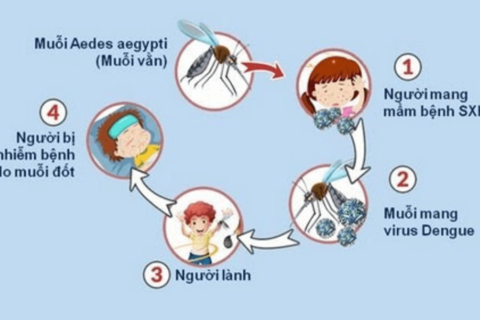 <a href="/thong-tin-suc-khoe2" title="Thông tin sức khỏe" rel="dofollow">Thông tin sức khỏe</a>